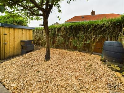 Picture 23